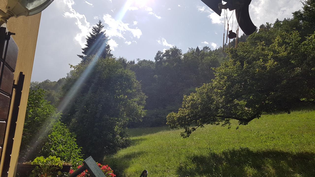 Maso Weiss Bed & Breakfast Bieno  Exterior foto