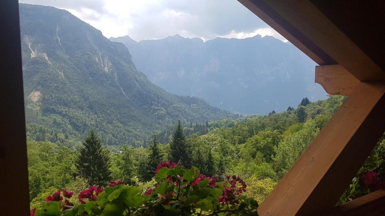 Maso Weiss Bed & Breakfast Bieno  Exterior foto